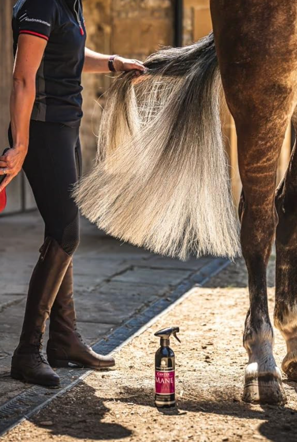 Sgrovigliante Mane & Tail Carr&Day&Martin 500ml