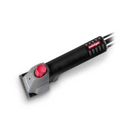 Tosatrice Heiniger Progress