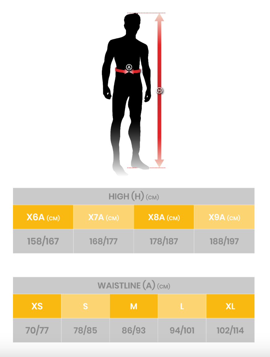 Paraschiena per adulti livello 2 Equestro