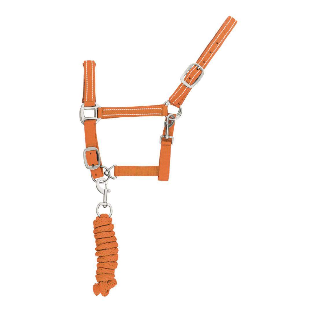 Cavezza nylon con lunghina modello Reflective