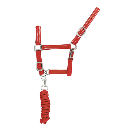 Cavezza nylon con lunghina modello Reflective