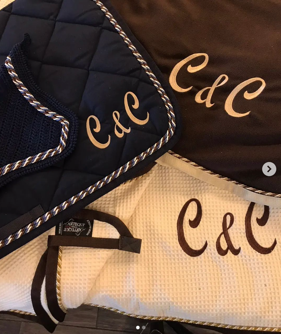 Ricamo su sottosella o coperta