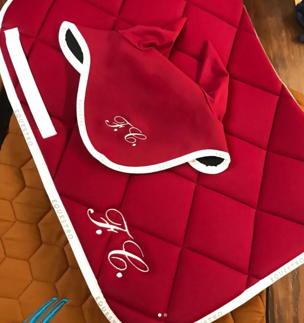 Ricamo su sottosella o coperta