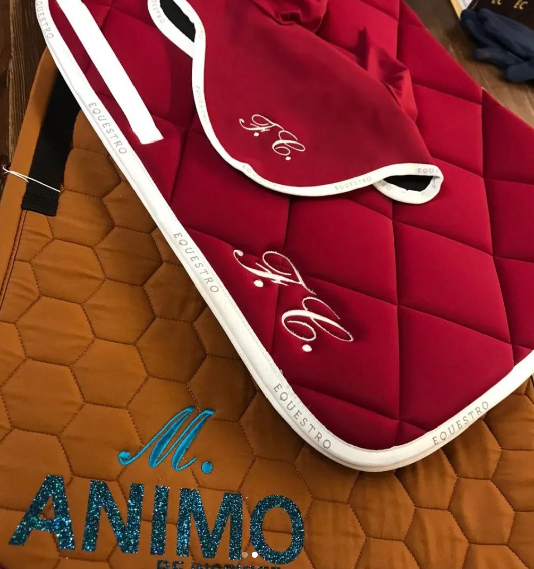 Ricamo su sottosella o coperta