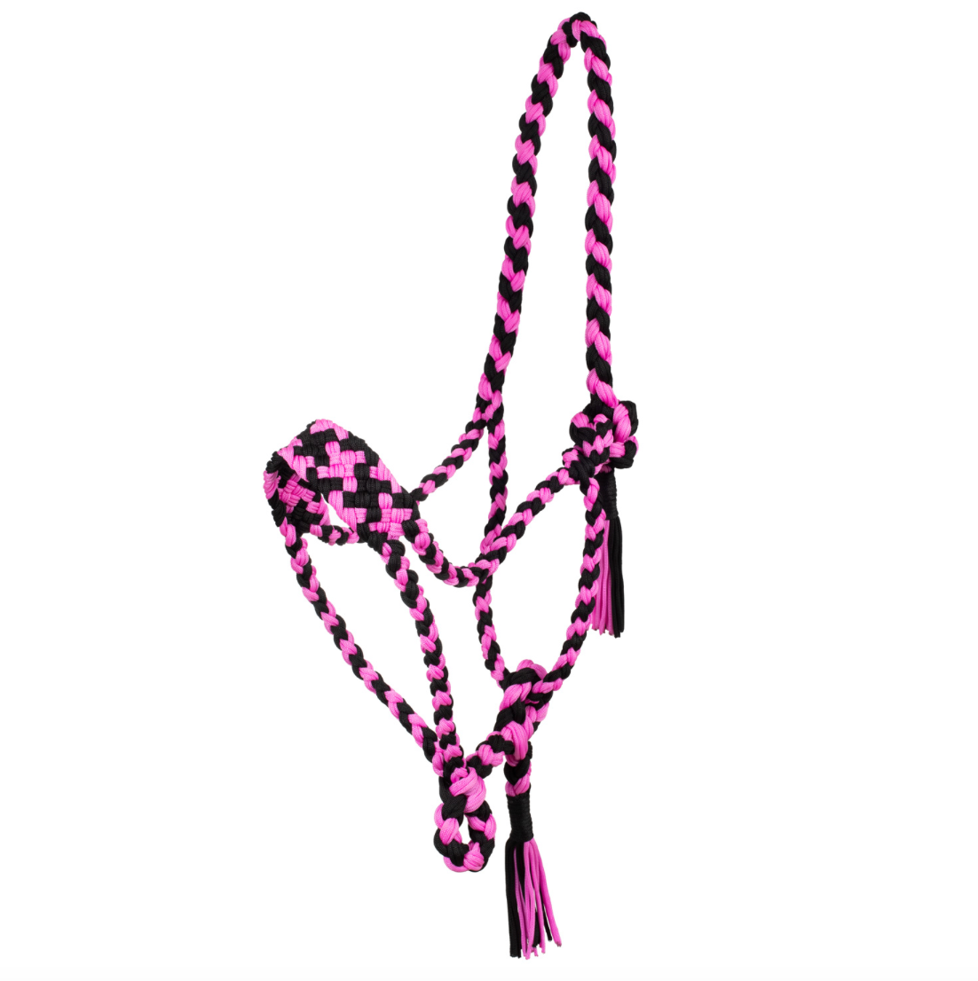 Cavezza in nylon intrecciato Pool's