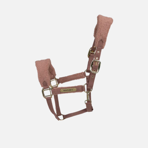 Cavezza Teddy Kentucky rosa