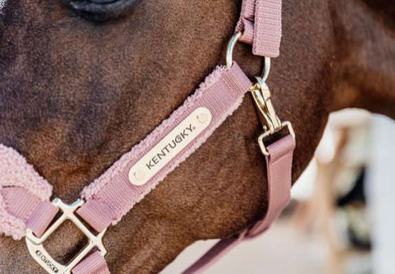 Cavezza Teddy Kentucky rosa