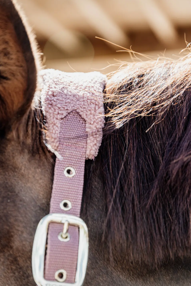 Cavezza Teddy Kentucky rosa