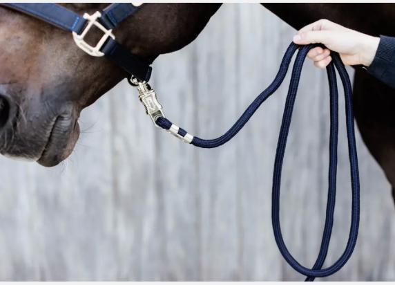 Lunghina con gancio antipanico in nylon Kentucky blu