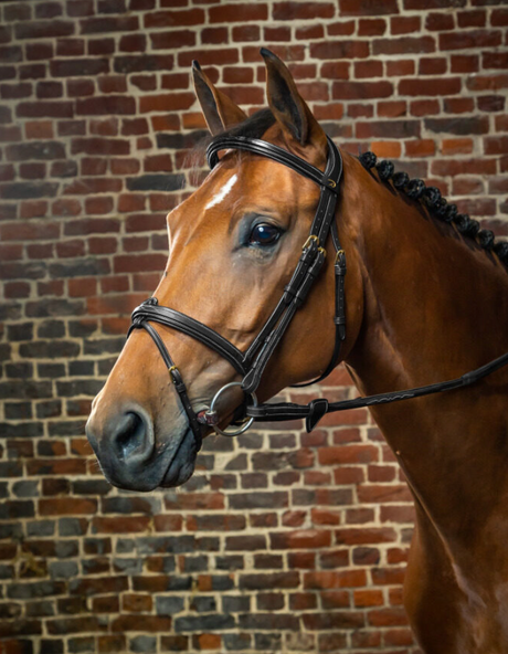 Testiera Dy'On modello  modello Flash Noseband nero