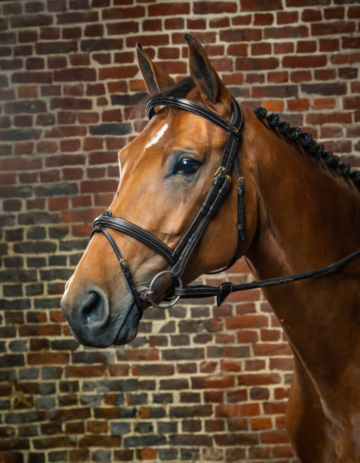 Testiera Dy'On modello Flash Noseband  marrone