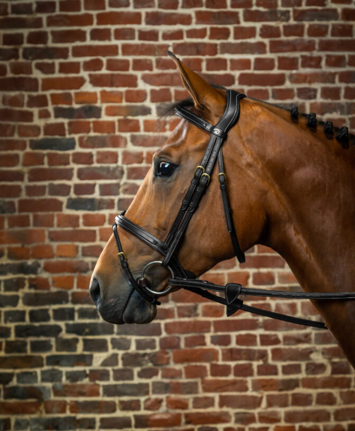 Testiera Dy'On modello  modello Flash Noseband nero