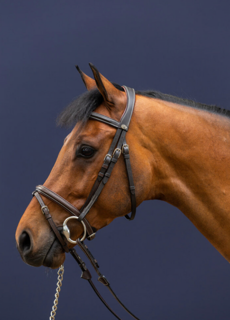 Testiera classica Dy'On Flash Noseband marrone