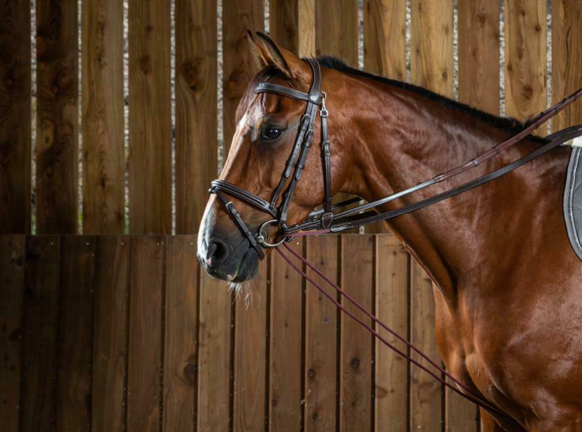 Redini di ritorno in cuoio e nylon Dy'On