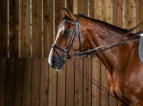 Redini di ritorno in cuoio e nylon Dy'On