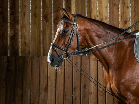 Redini di ritorno in cuoio e nylon Dy'On