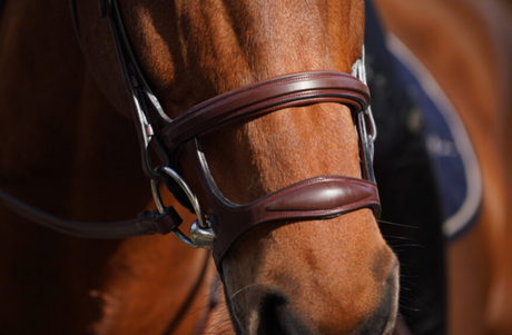 Doppio capezzino Dy'On in cuoio marrone