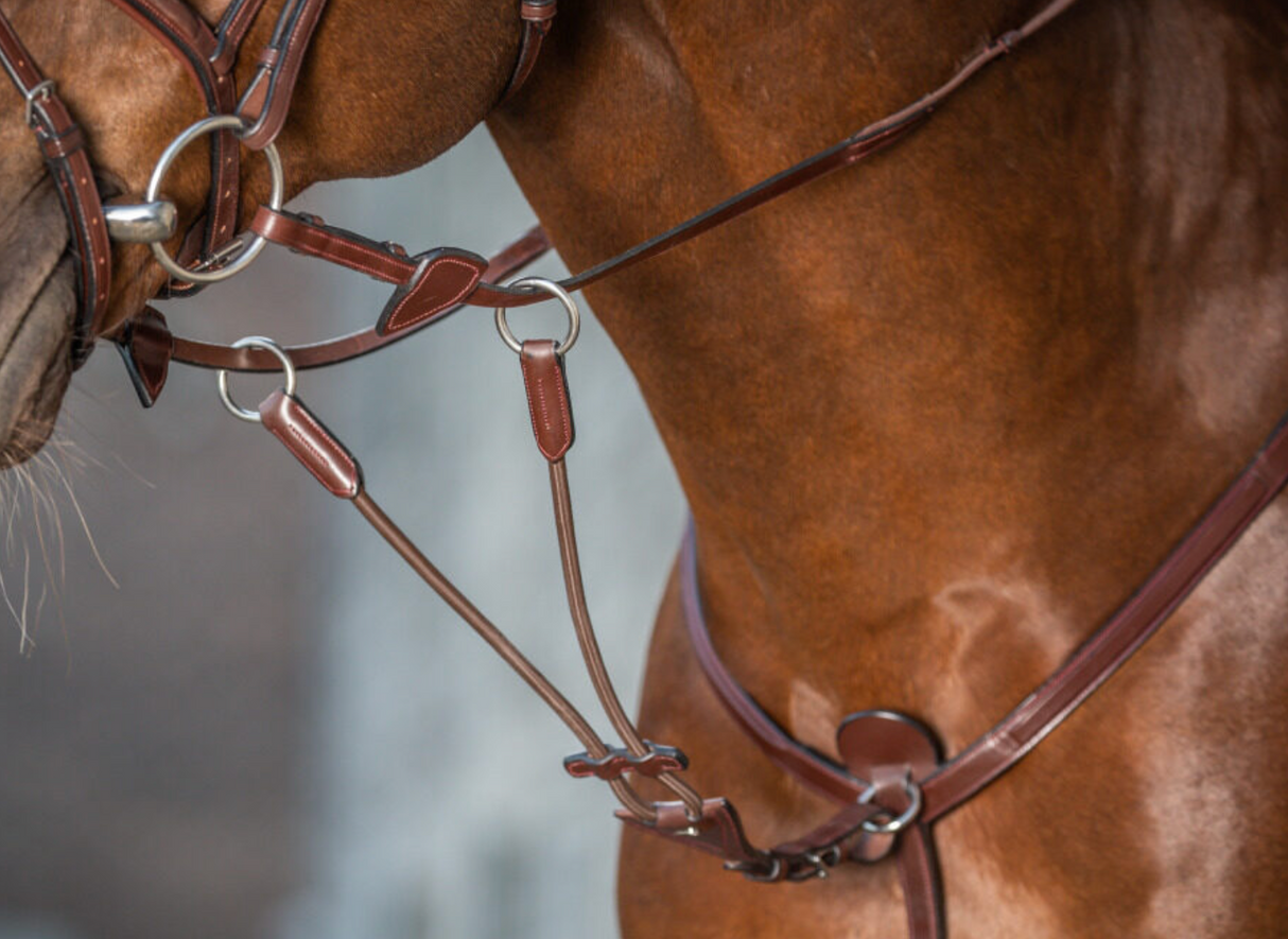 Forchetta elastica per martingala Dy'On marrone