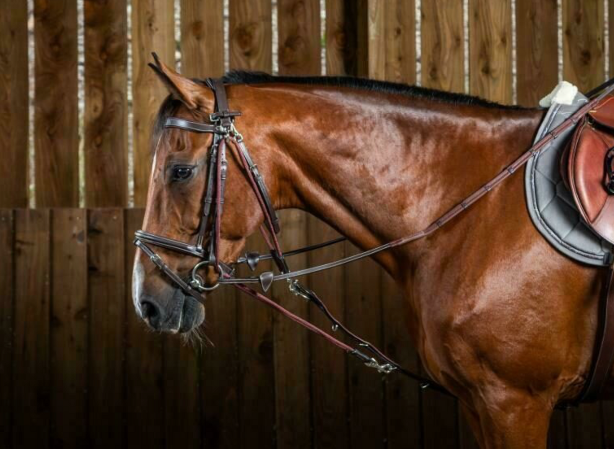 Gougue in nylon Dy'On