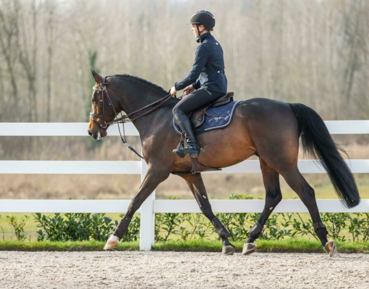 Gougue in nylon Dy'On