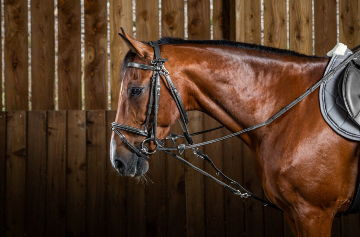 Gougue in nylon Dy'On