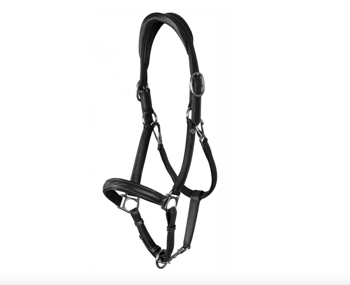 Cavezza in morbida pelle Dy'On nera