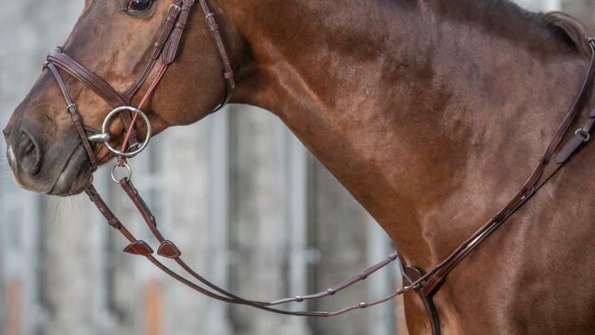 Redini modello Hunter 5/8 Dy'On in cuoio con tacchette e grip