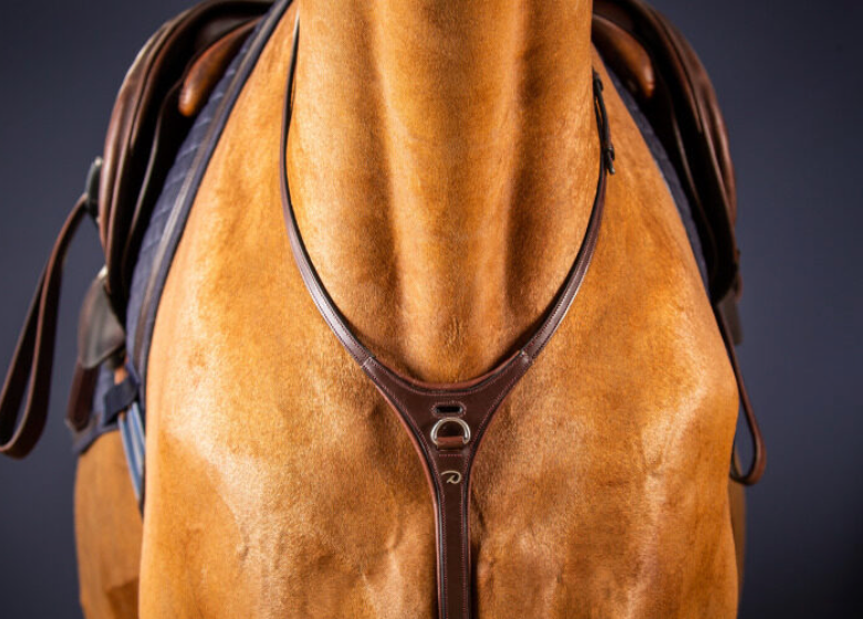 Martingala Dy'On Yoke marrone