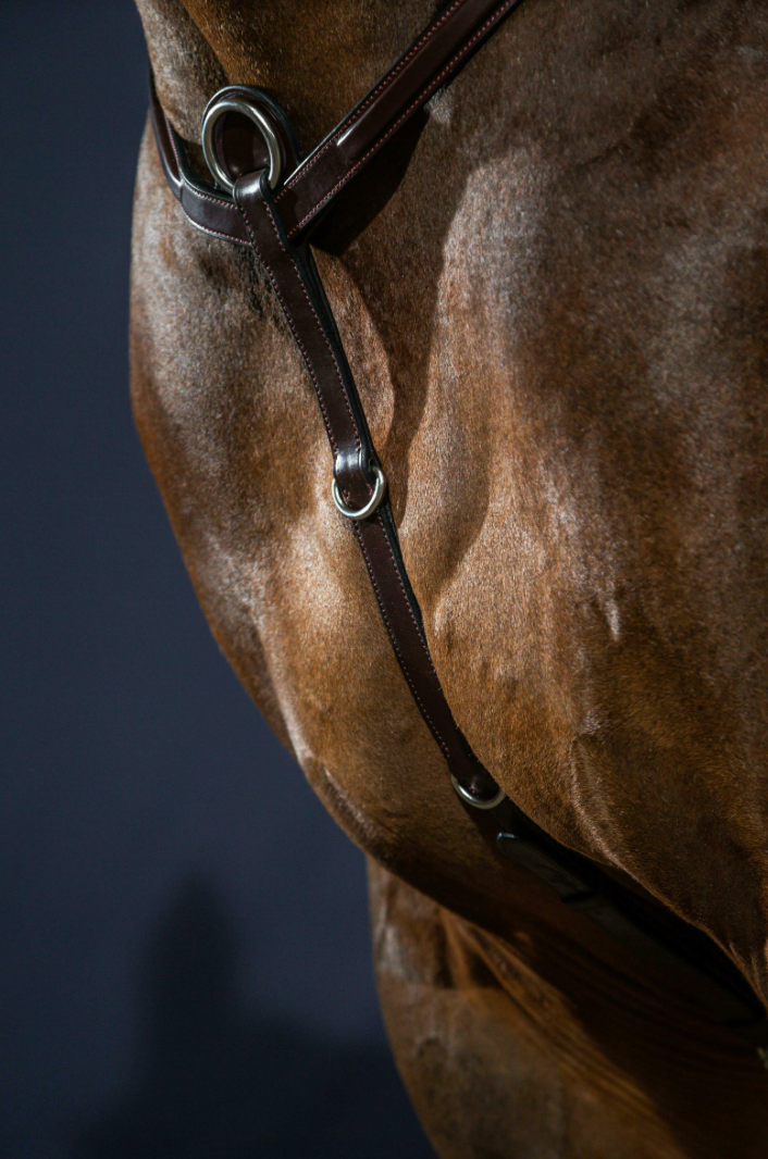 Pettorale Breastplate New English Collection Dy'On nero