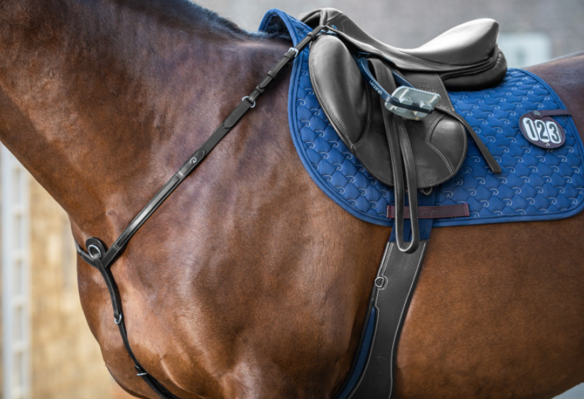 Pettorale Breastplate New English Collection Dy'On nero