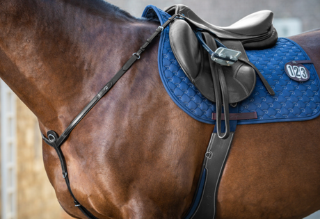 Pettorale Breastplate New English Collection Dy'On nero