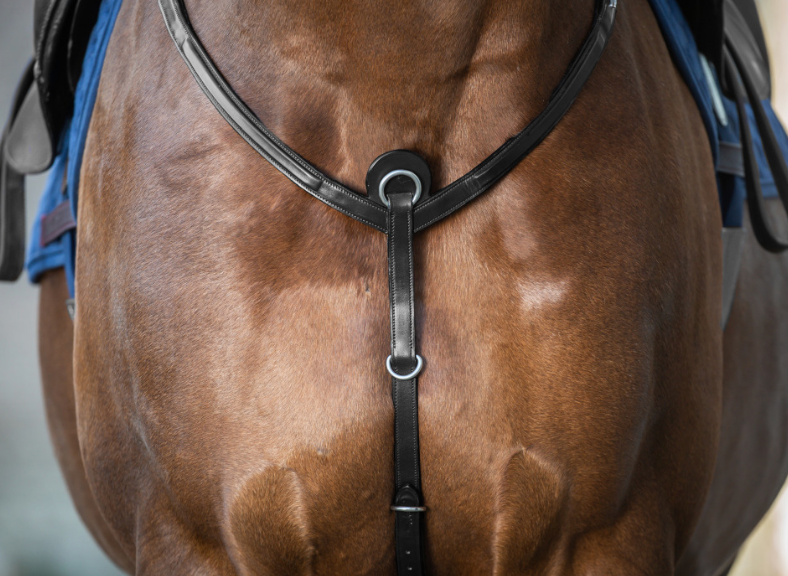 Pettorale Breastplate New English Collection Dy'On nero