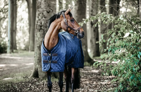 Coperta da box 0 gr con interno di pelliccia Kentucky blu