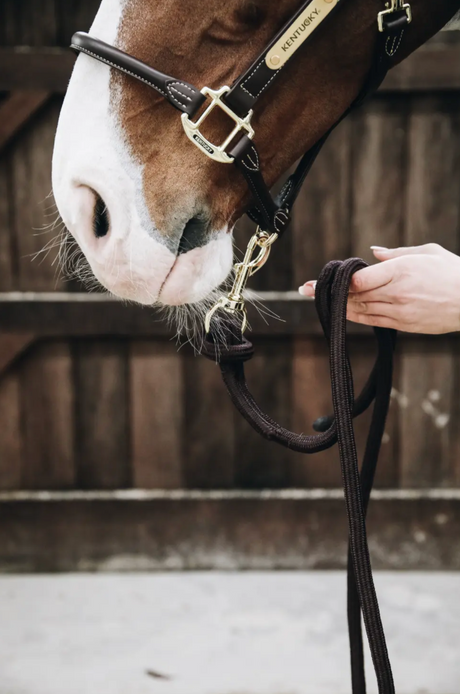 Lunghina Kentucky 'Lead Rope loop' 2,80m nero
