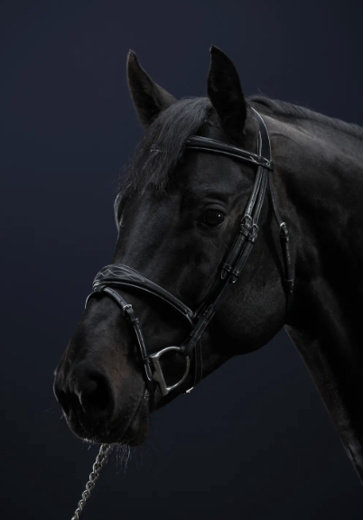 Testiera Dy'On nera anatomica con frontalino e capezzina allargati al centro e ricamati