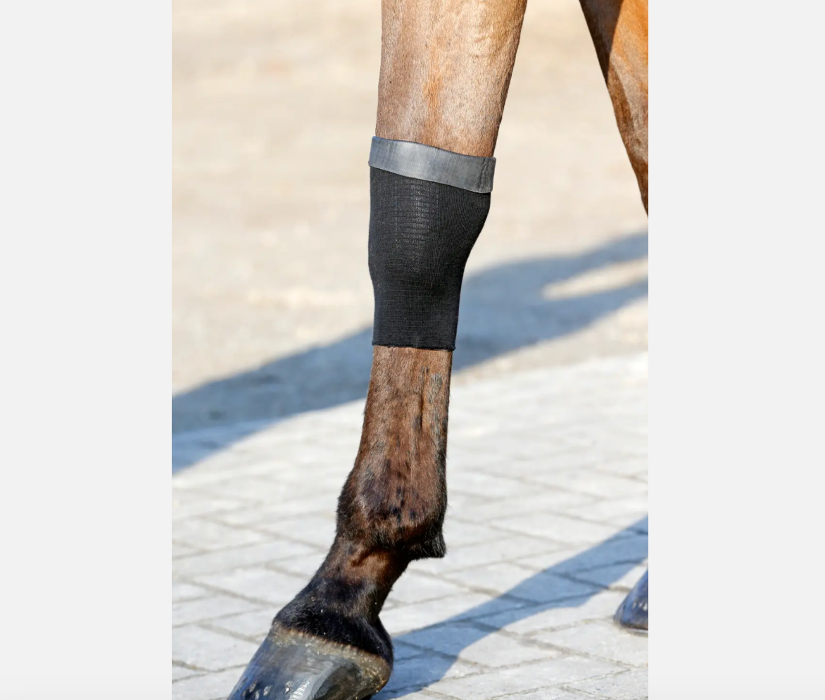 Tendon Grip Gel Sock Kentucky