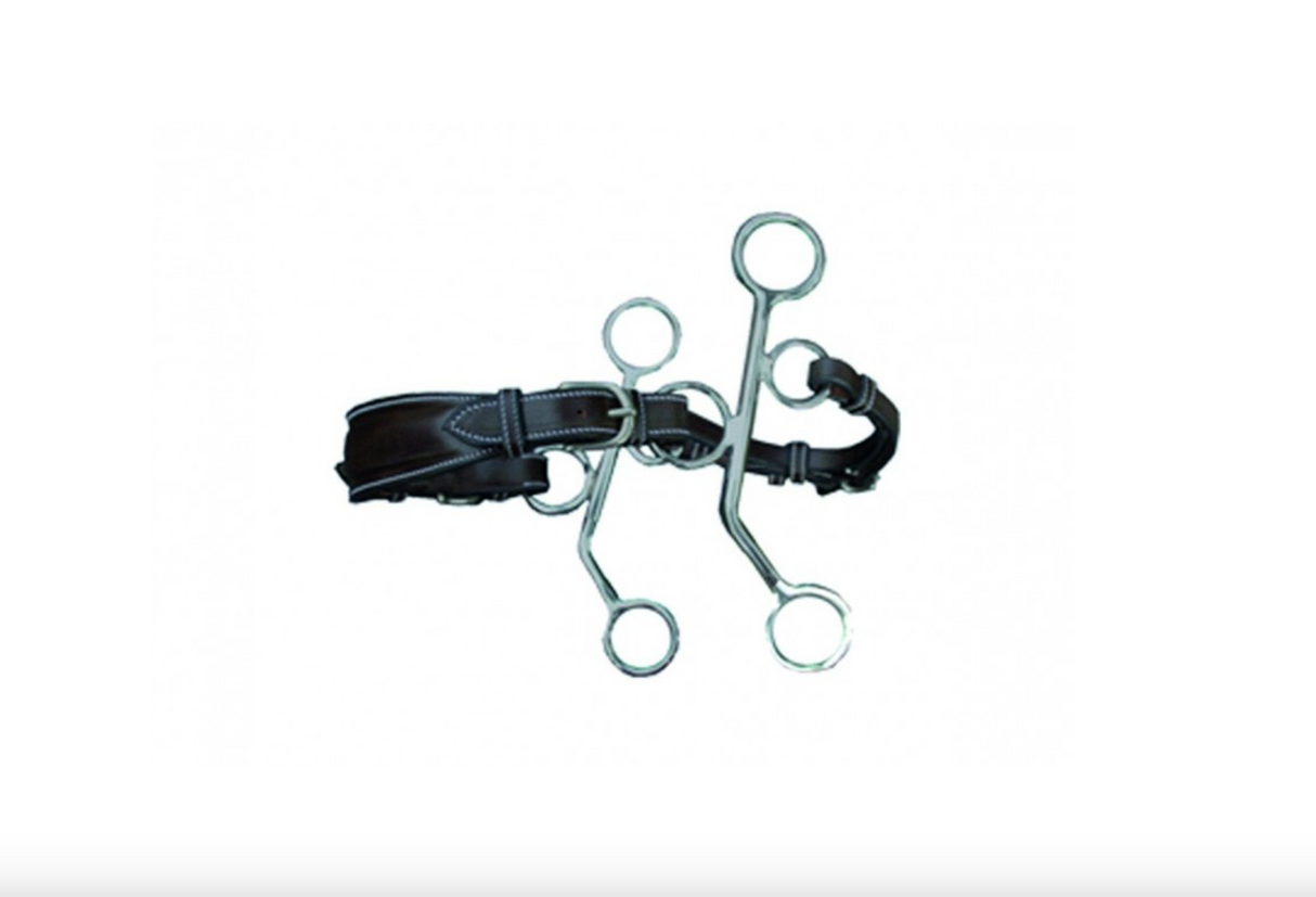 HACKAMORE Jump'in asta corta