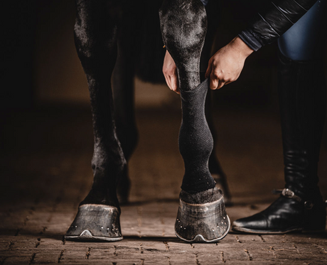 Tendon tube 5m One Equestrian