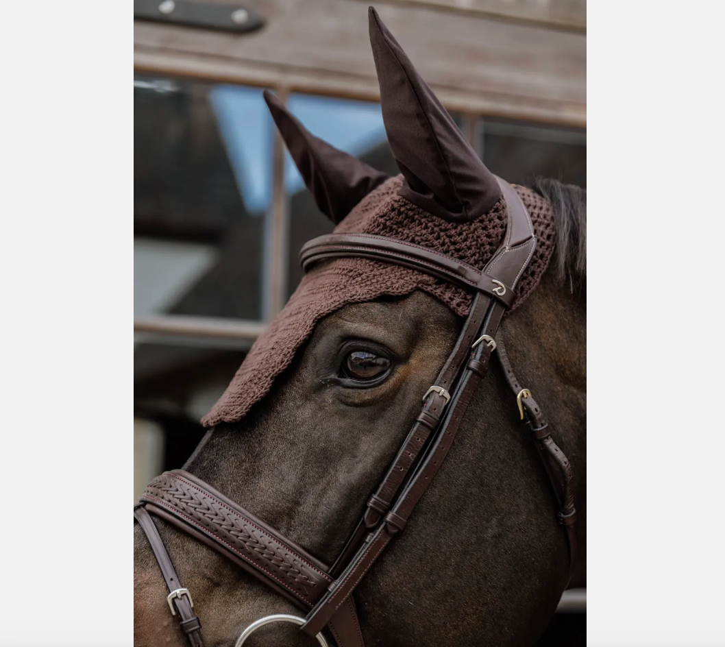 Cuffia Wellington Wave Kentucky marrone