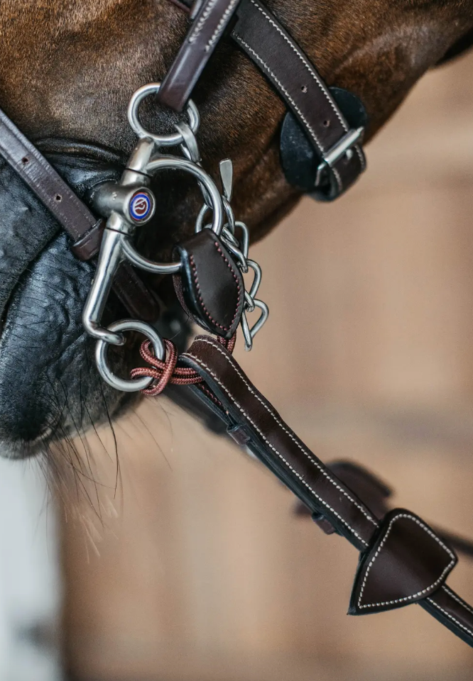 Ponti corti per pelham Dy'On neri