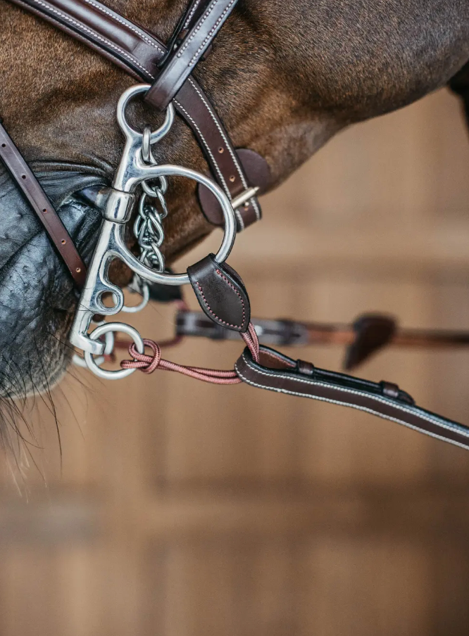 Ponti lunghi per pelham Dy'On marroni
