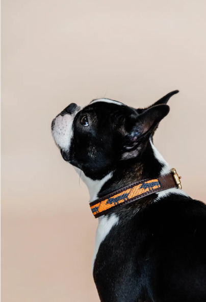 Collare per cani fatto a mano con perle Kentucky