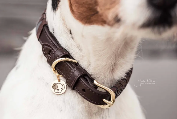 Collare per cane con fantasia triangolo Kentucky