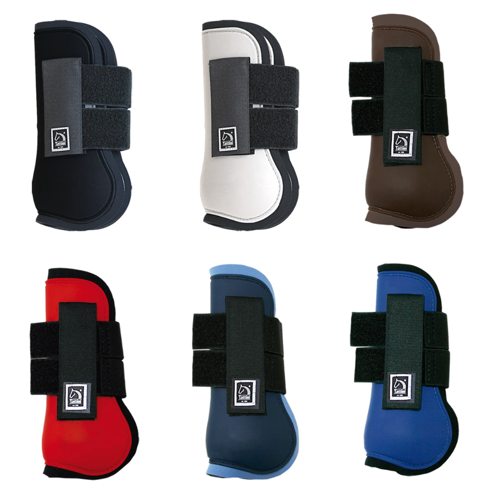 Paratendini Tattini Full