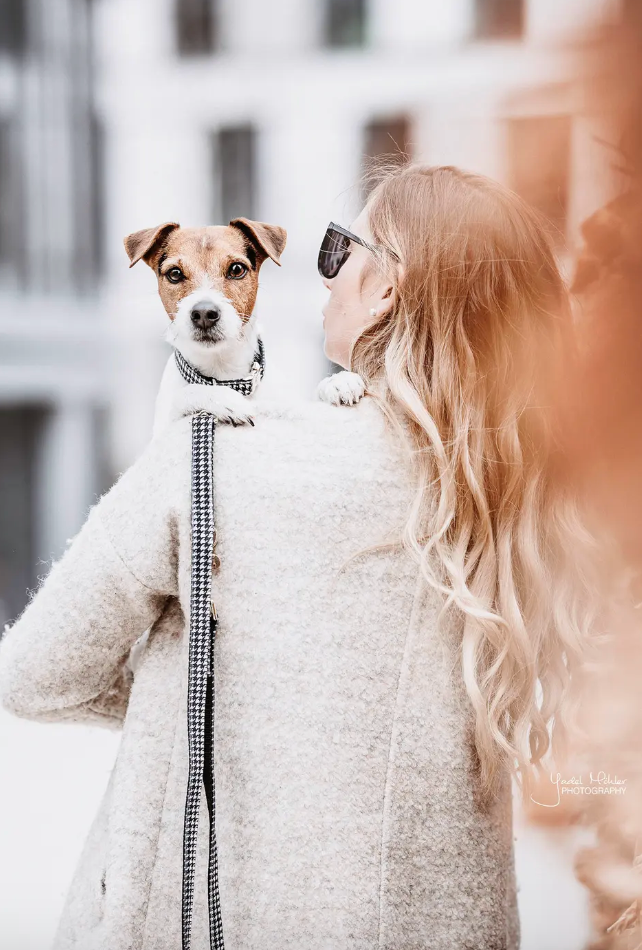 Guinzaglio per cani Pied De Poule Kentucky 2m