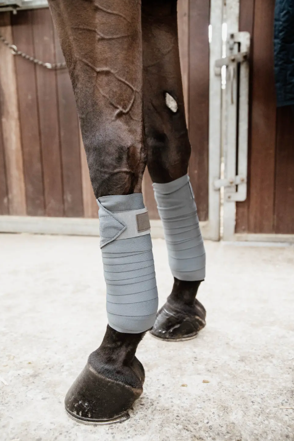 Fasce da lavoro repellenti grigie Kentucky