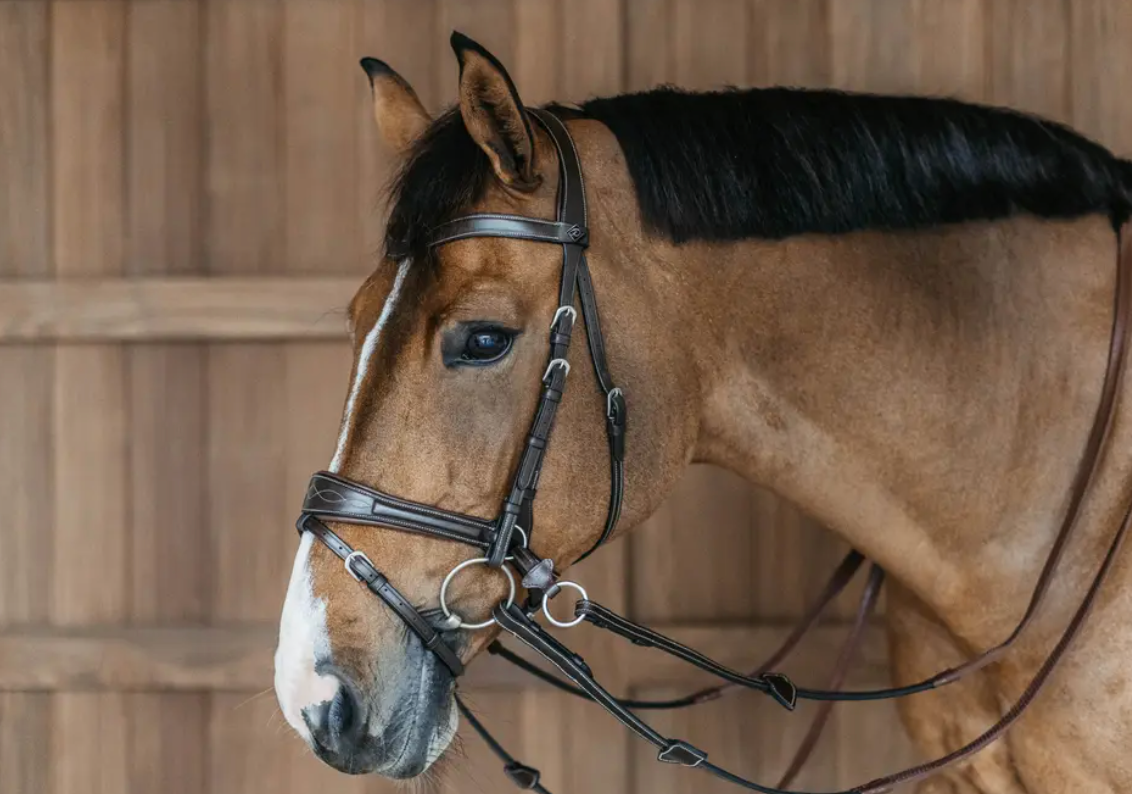 Testiera Dy'On modello Working Motion marrone