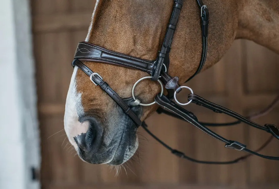 Testiera Dy'On modello Working Motion marrone