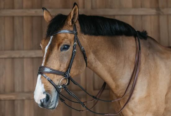 Testiera Dy'On modello Working Motion marrone