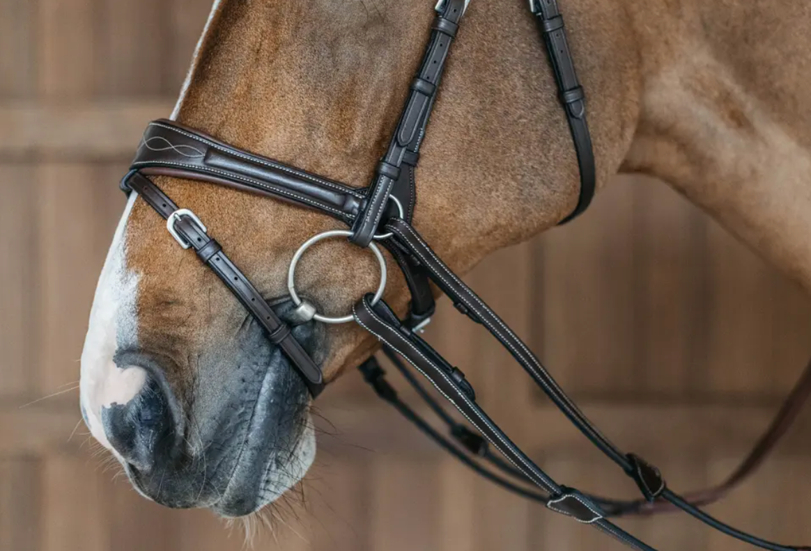 Testiera Dy'On modello Working Motion marrone